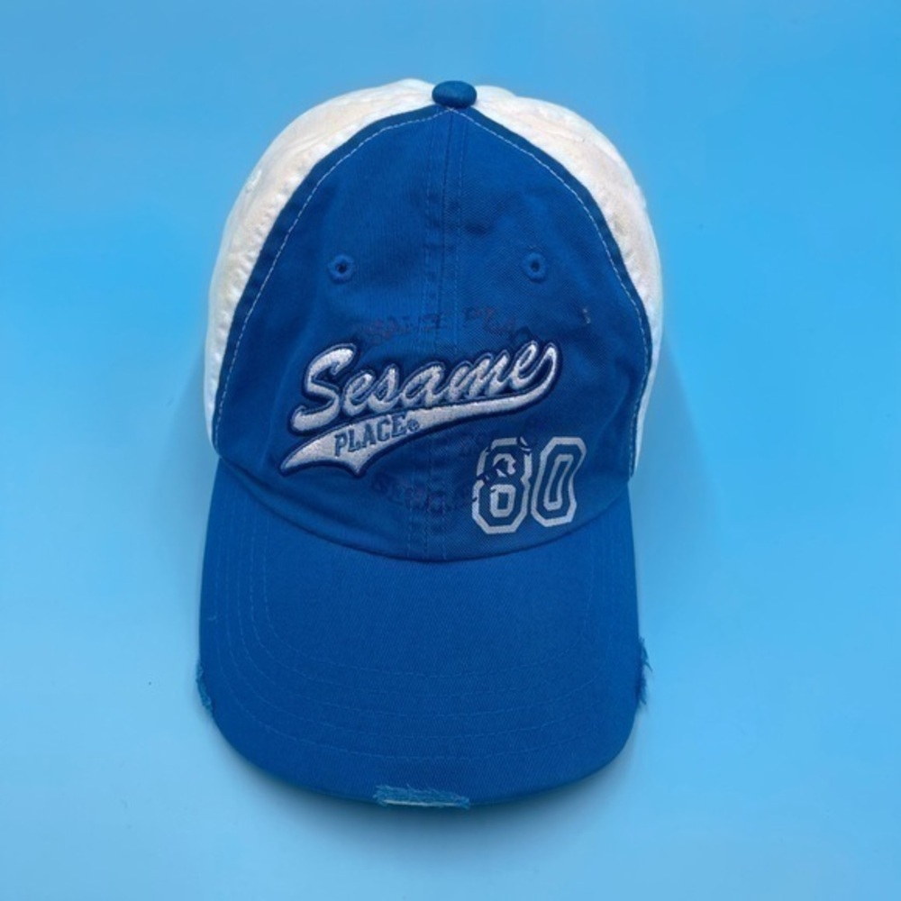 Y2K Sesame Place Hat